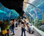 Orientarium_7