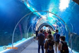 Orientarium_6