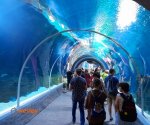 Orientarium_6
