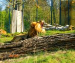 Zoo_Opole_4