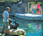 Zoo_Opole_5
