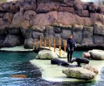 Zoo_Opole_6