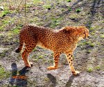 Zoo_Opole_7