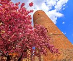 Opole_1
