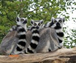 Zoo_Opole_1