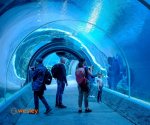 Orientarium_5