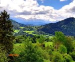 widok_z_Palenicy