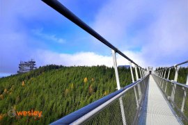 Sky_Bridge_8