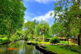 Spreewald_2023_3