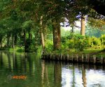 Spreewald_2