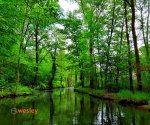 Spreewald_10
