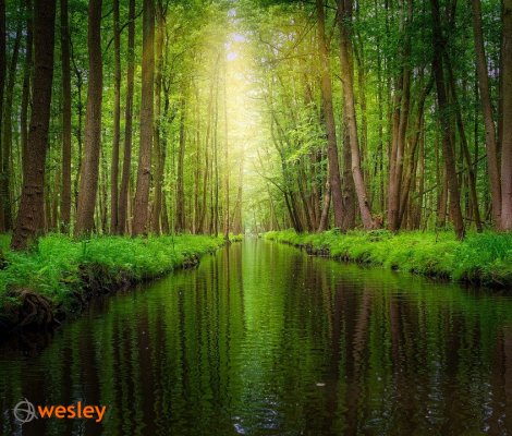 Spreewald_1
