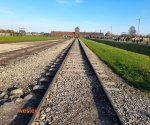 Birkenau_2