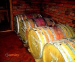 Winnica_Sanok