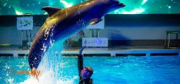 Kłajpeda_delfinarium_1