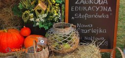 Zagroda_Stefanówka_1