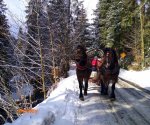 kulig_2023_2