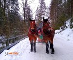 kulig_Wisła_2