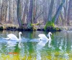 sulejow_7
