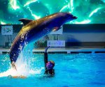 Kłajpeda_delfinarium_1