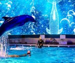 Kłajpeda_delfinarium_2
