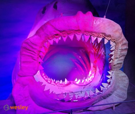 Orientarium_5