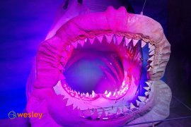 Orientarium_5