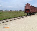 Oświęcim_6