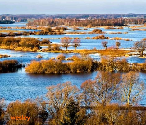 Biebrzański Park Narodowy