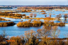 Biebrzański Park Narodowy