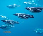 Wrocław_Zoo_2