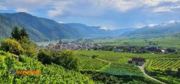 Dolina_Wachau