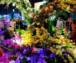 Wystawa_kwiatów_Katowice_10