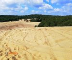Pustynia_Siedlecka_2