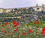 Monte_Cassino_maki