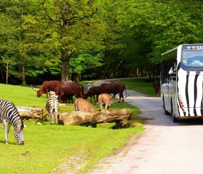 Zoo_Dvur_Kralove2