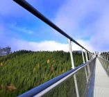 Sky_Bridge_8