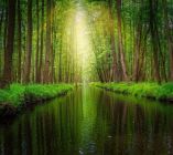 Spreewald_1