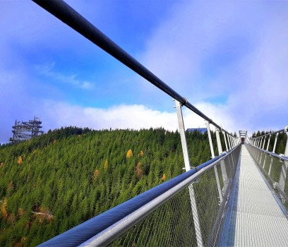 Sky_Bridge_8