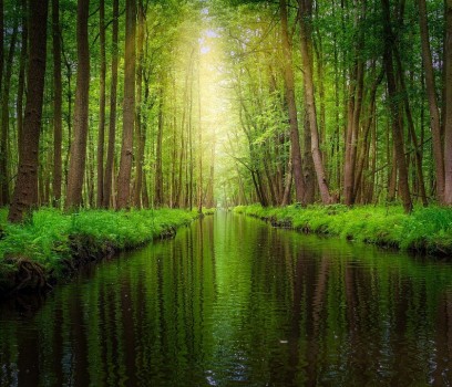 Spreewald_1