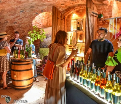 Zielona_Góra_Dni_Otwartych_Piwnic_1