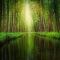 Spreewald_1