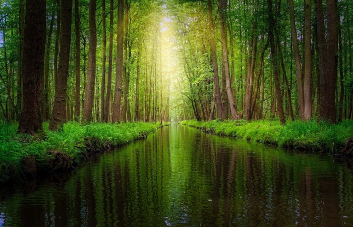 Spreewald_1