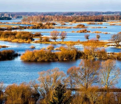 Biebrzański Park Narodowy
