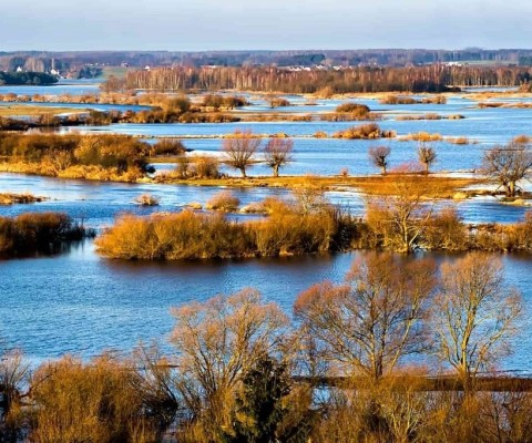 Biebrzański Park Narodowy