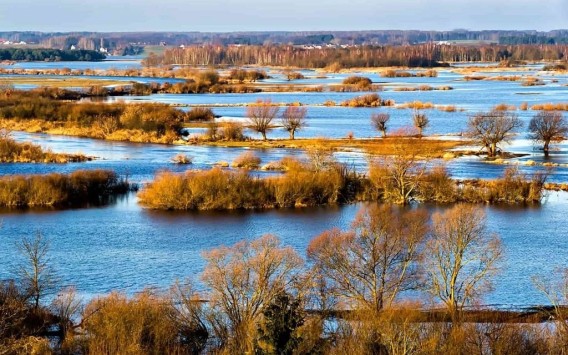 Biebrzański Park Narodowy