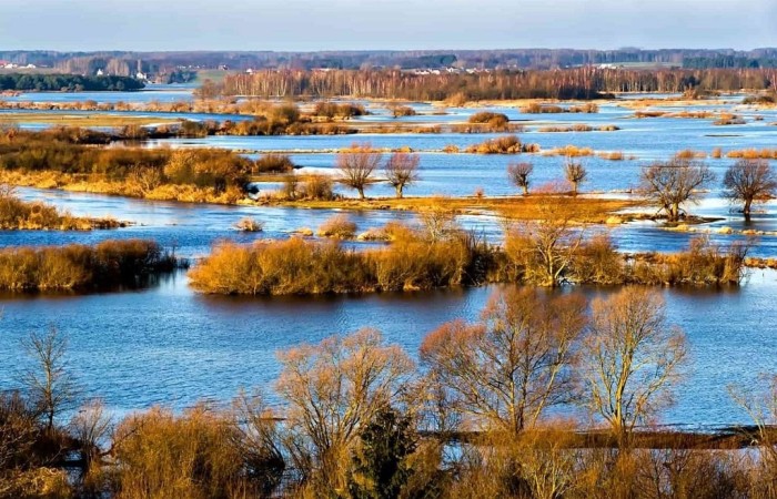 Biebrzański Park Narodowy